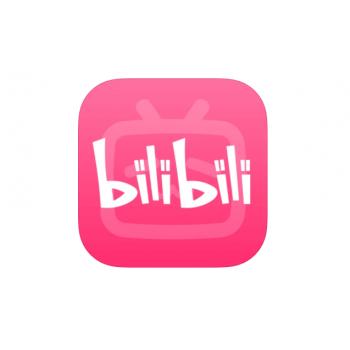 哔哩哔哩 1980电池（金瓜子）Bilibili直播 B币 直充