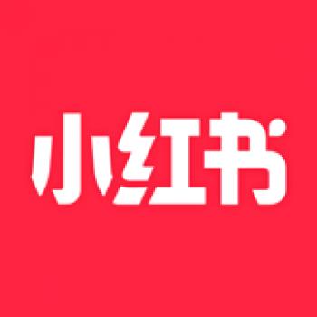 小红书 980薯币充值98元（联系客服充值）
